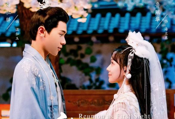 Воссоединение с первого взгляда (2025)